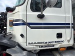 General Appearance with Paint