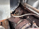 Engine with Exhaust System