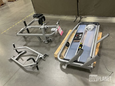 Cybex Leg Curl Machine