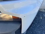 General Appearance with Paint