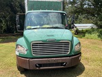 General Appearance with Paint
