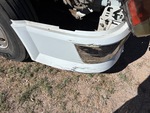 General Appearance with Paint