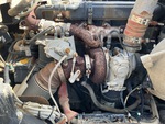 Engine with Exhaust System
