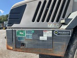 General Appearance with Paint