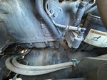 Engine with Oil Leaks