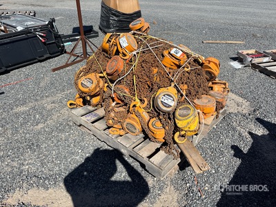 Quantity of Harrington CF4-3300 1-1/2 Ton رافعة البناء