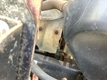 Engine with Exhaust System