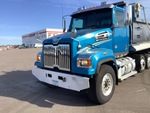 General Appearance with Paint