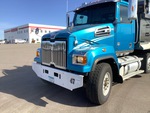 General Appearance with Paint
