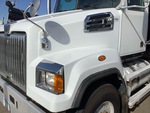 General Appearance with Paint