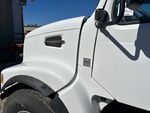 General Appearance with Paint
