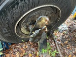 Brakes with 