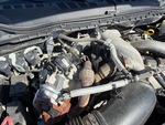 Engine with Exhaust System