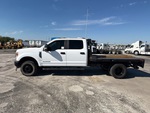 General Appearance with Paint