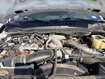 Engine with Fuel System