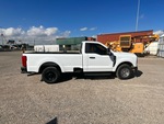 General Appearance with Paint