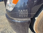 General Appearance with Paint