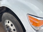 General Appearance with Paint