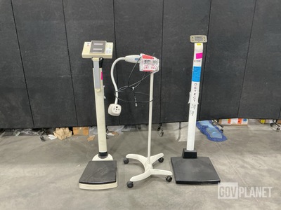 (9) Assorted Patient Scales & (1) Examination Light