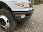 General Appearance with Paint