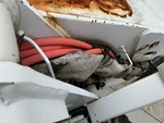 Configuration with Hoses (Hydraulic)