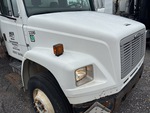General Appearance with Paint