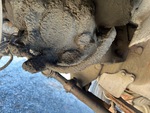 Underbody with 