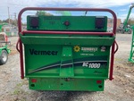 General Appearance with Paint