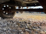 Trailer Chassis with Axle Condition