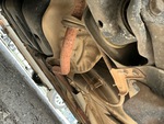 Engine with Exhaust System