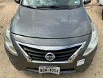 General Appearance with Paint