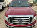 General Appearance with Paint