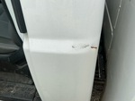 General Appearance with Paint