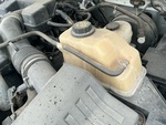 Silnik with Cooling System Leaks