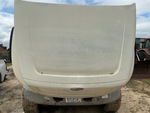 General Appearance with Paint