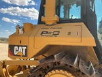 General Appearance with Paint