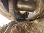 Undercarriage with 