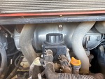 Engine with Exhaust System