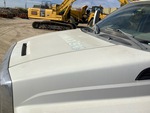 General Appearance with Paint