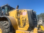 General Appearance with Paint