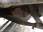 Engine with Oil Leaks