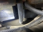 Engine with Oil Leaks
