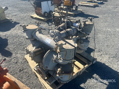 Quantity of (2) Diaphragm Pumps