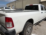 General Appearance with Paint