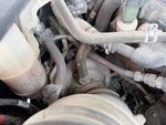 Engine with Exhaust System