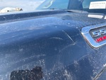General Appearance with Paint