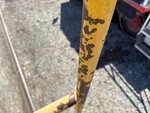 General Appearance with Paint