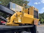 General Appearance with Paint