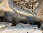 Undercarriage with 