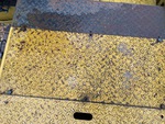General Appearance with Paint
